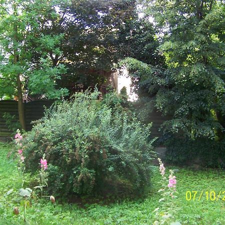 Zielony Apartament, Kielce, Targi, Centrum Экстерьер фото